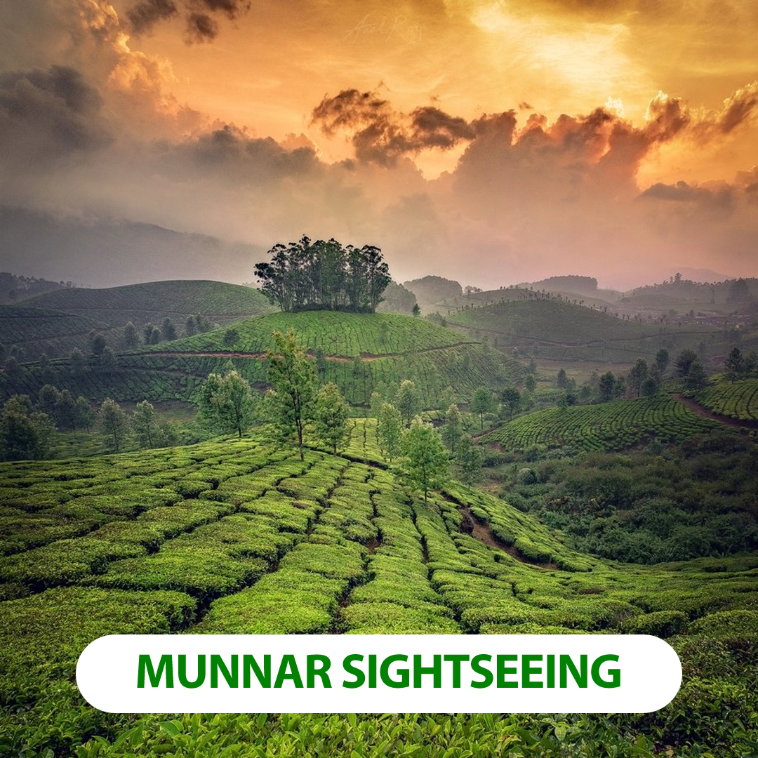 Munnar Tour packages,Munnar Tour packages From Madurai,Munnar Tours And Travels